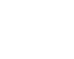 MAIN